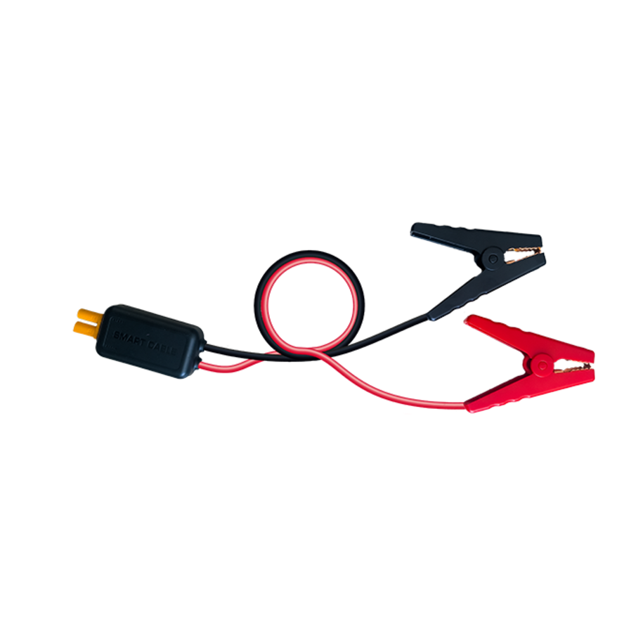 Extension de câble intelligent BS BATTERY pour booster Power Box PB-02