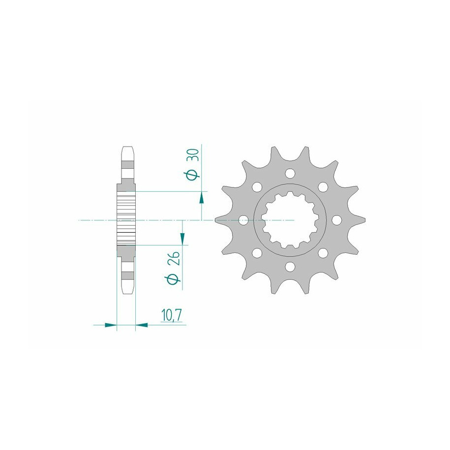 Pignon AFAM acier standard 21805 - 525