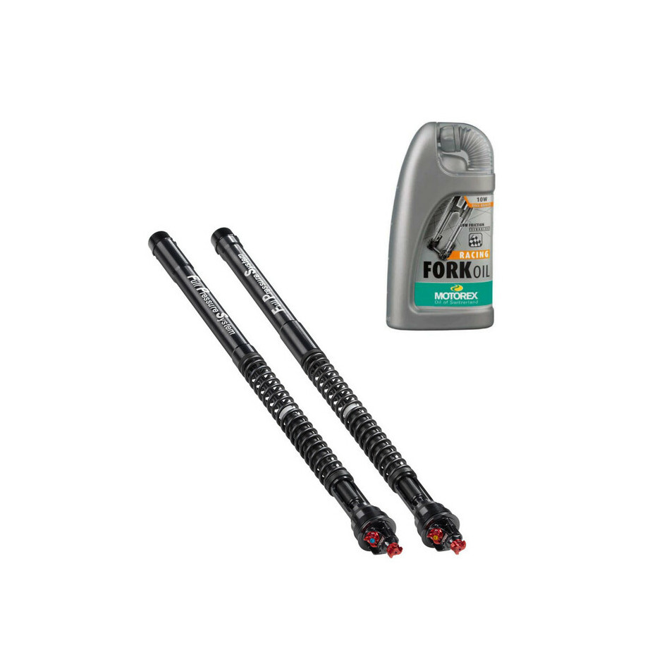 Kit cartouche de fourche BITUBO ECH29 + huile de fourche MOTOREX Racing 10W Yamaha R1