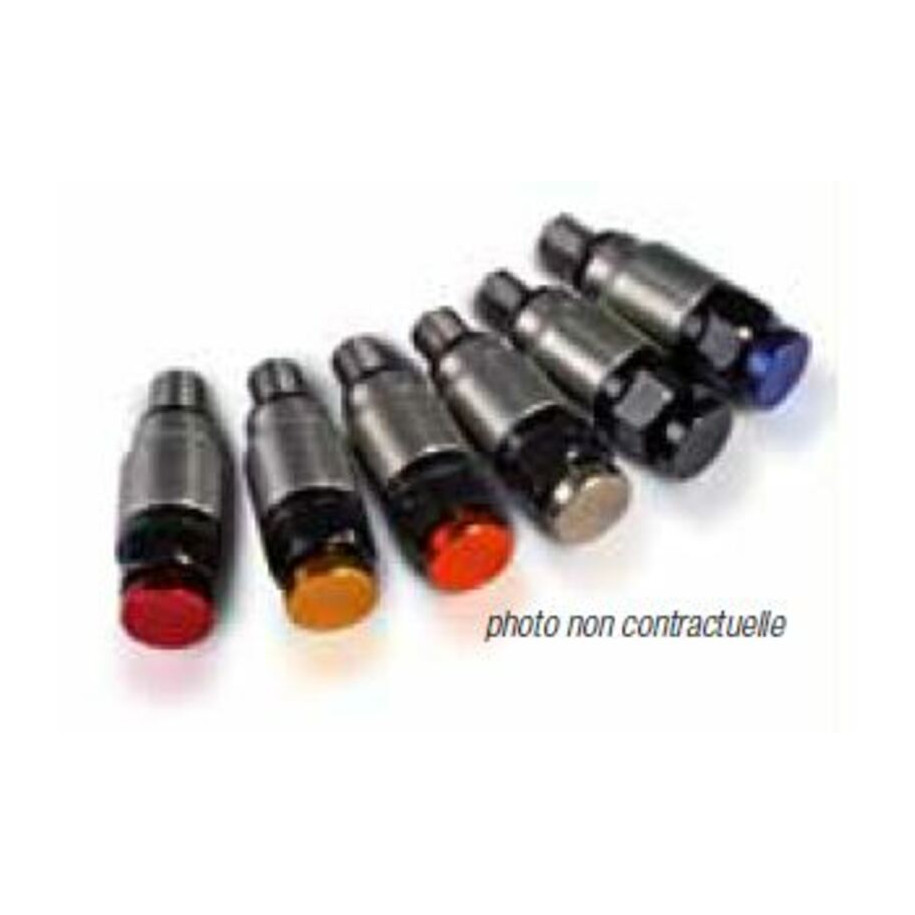 VALVE DECHARGE PRESSION EN INOX POUR KAYABA/SHOWA M5X0.8