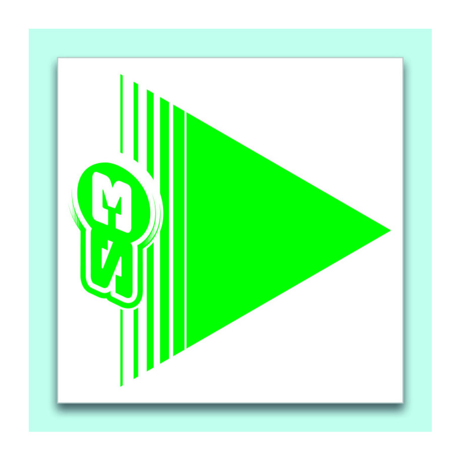 Flèches de signalisation S3 vert 50 pièces 12x12cm