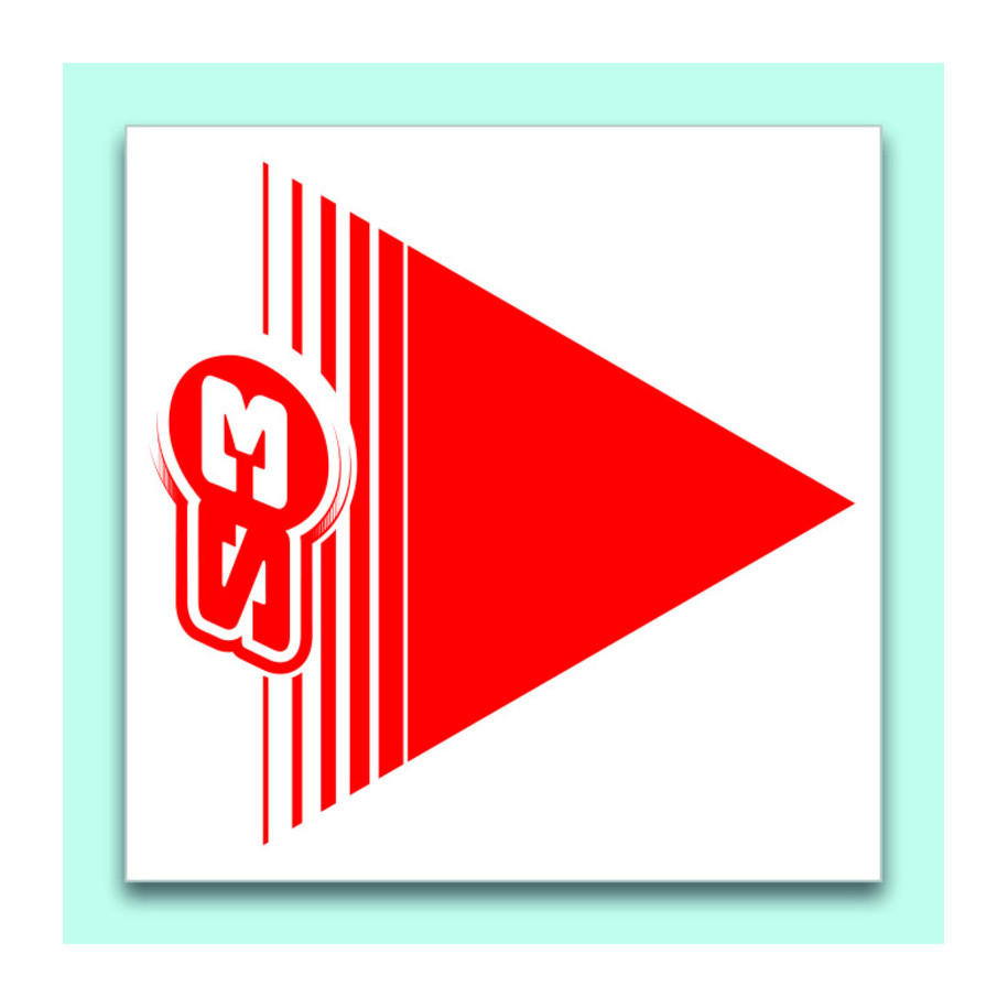 Flèches de signalisation S3 rouge 50 pièces 12x12cm
