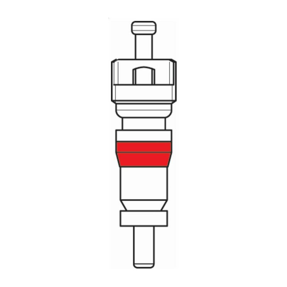 Obus de valve BIHR - x100