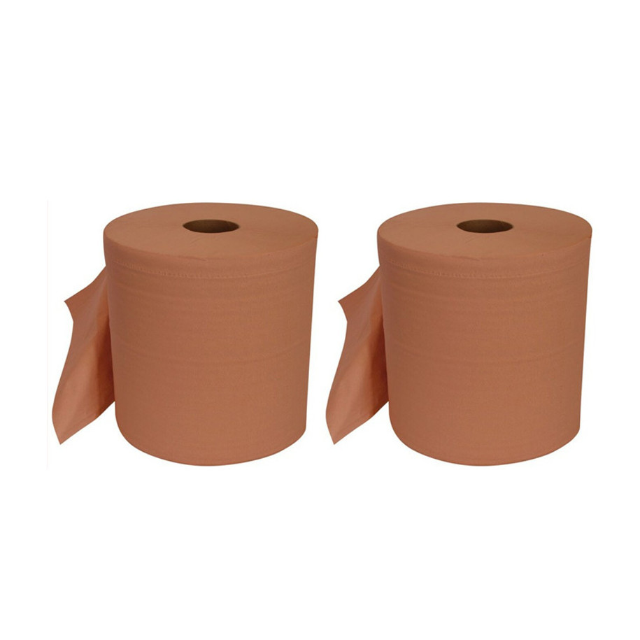 Rouleaux papier essui-main professionnel BIHR - 2 bobines de 1000 feuilles 