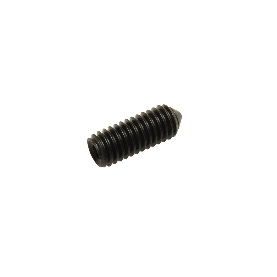 Vis de remplacement MOTION PRO M6x16mm