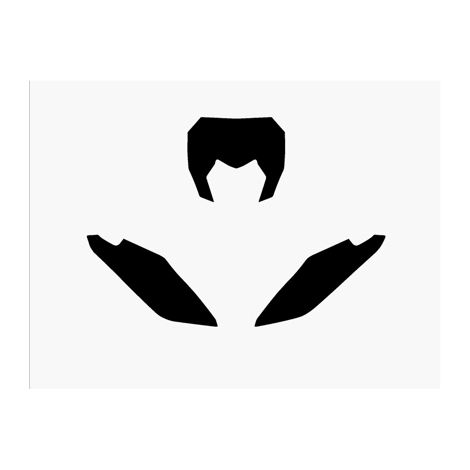 Fonds de plaque BLACKBIRD noir Fantic XX