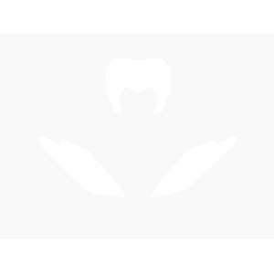 Fonds de plaque BLACKBIRD blanc Fantic XE