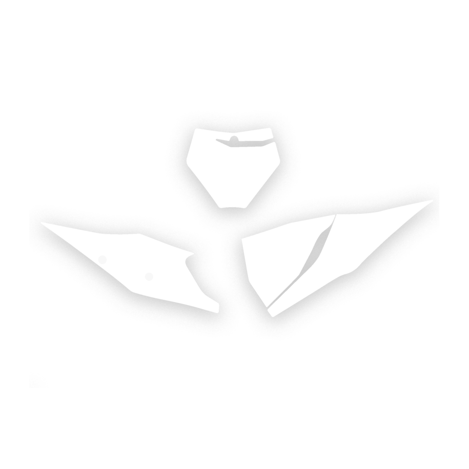 Fonds de plaque BLACKBIRD