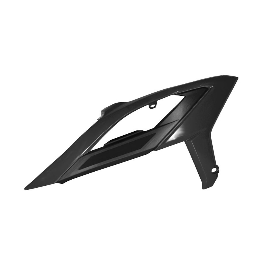 Ouïes de radiateur RACETECH avec support