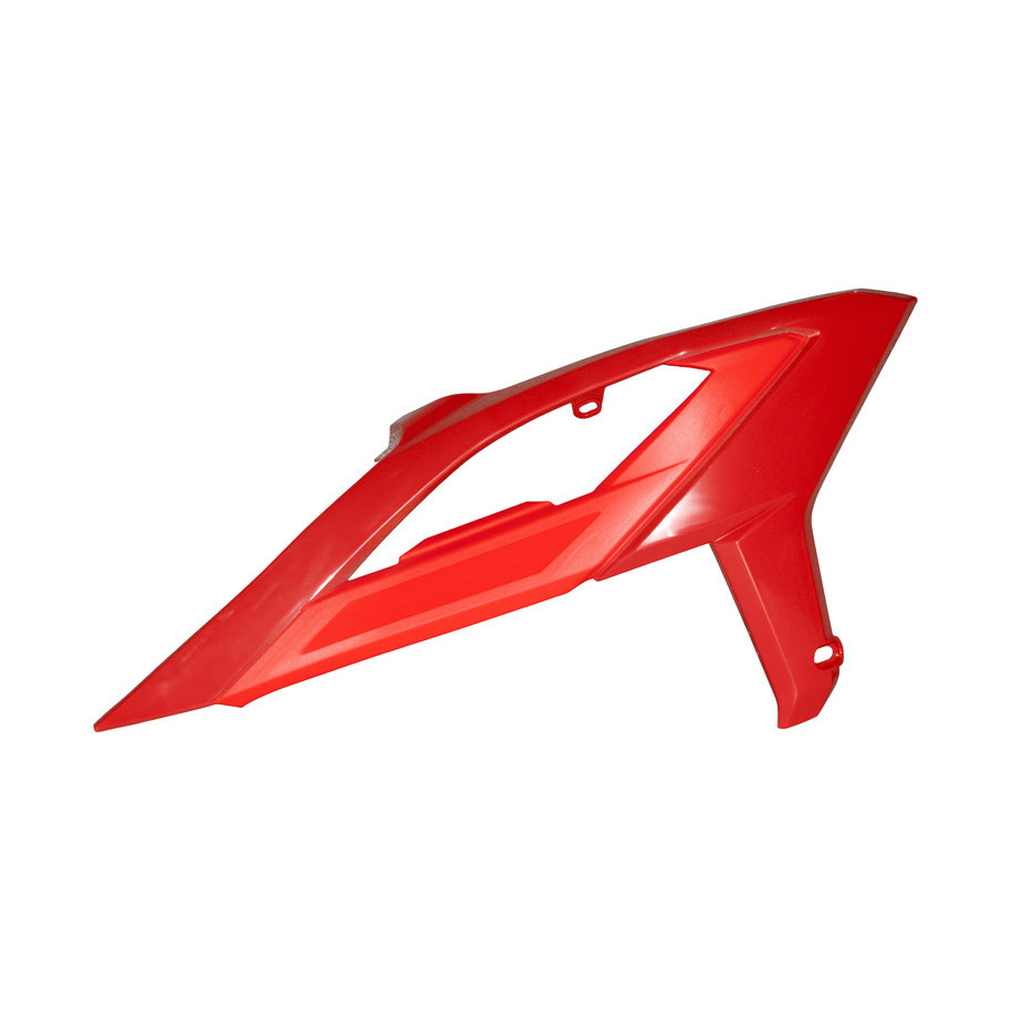 Ouïes de radiateur RACETECH avec support