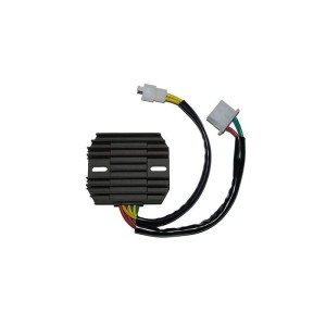 Régulateur ELECTROSPORT