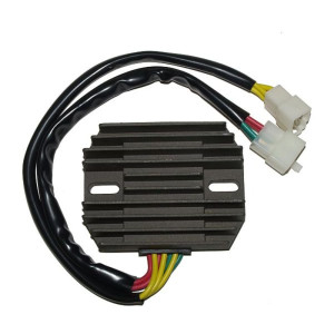 Régulateur ELECTROSPORT