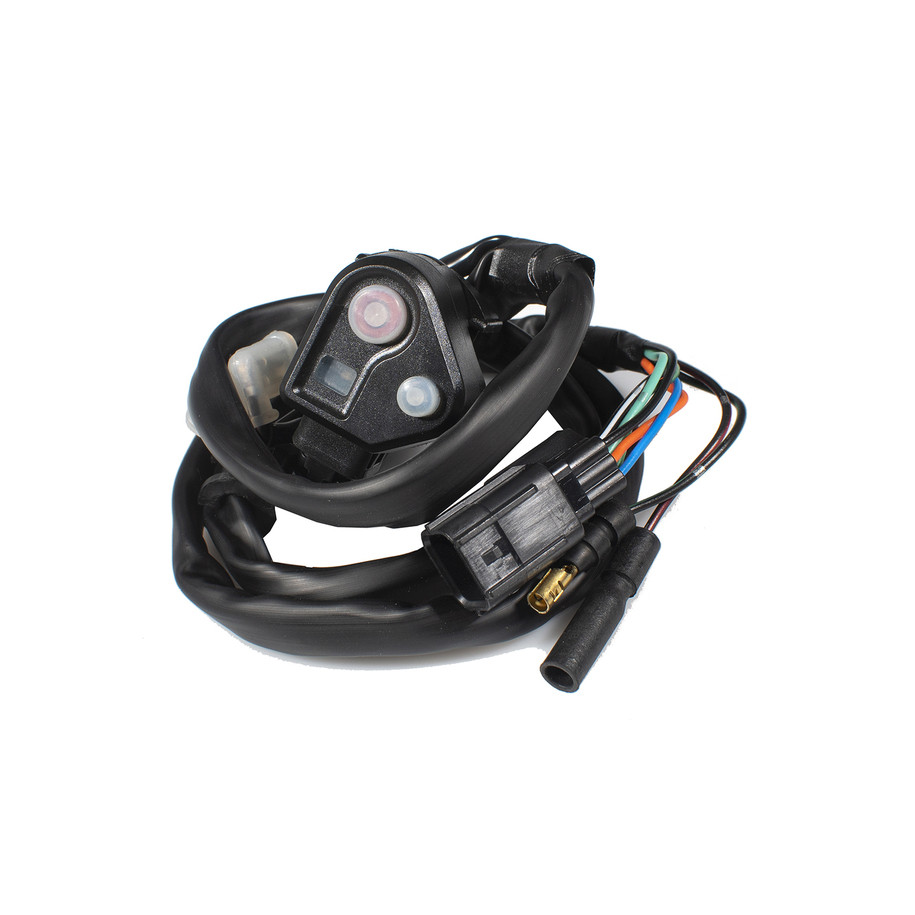 Bouton de cartographie et coupe-circuit RFX Race - type OEM