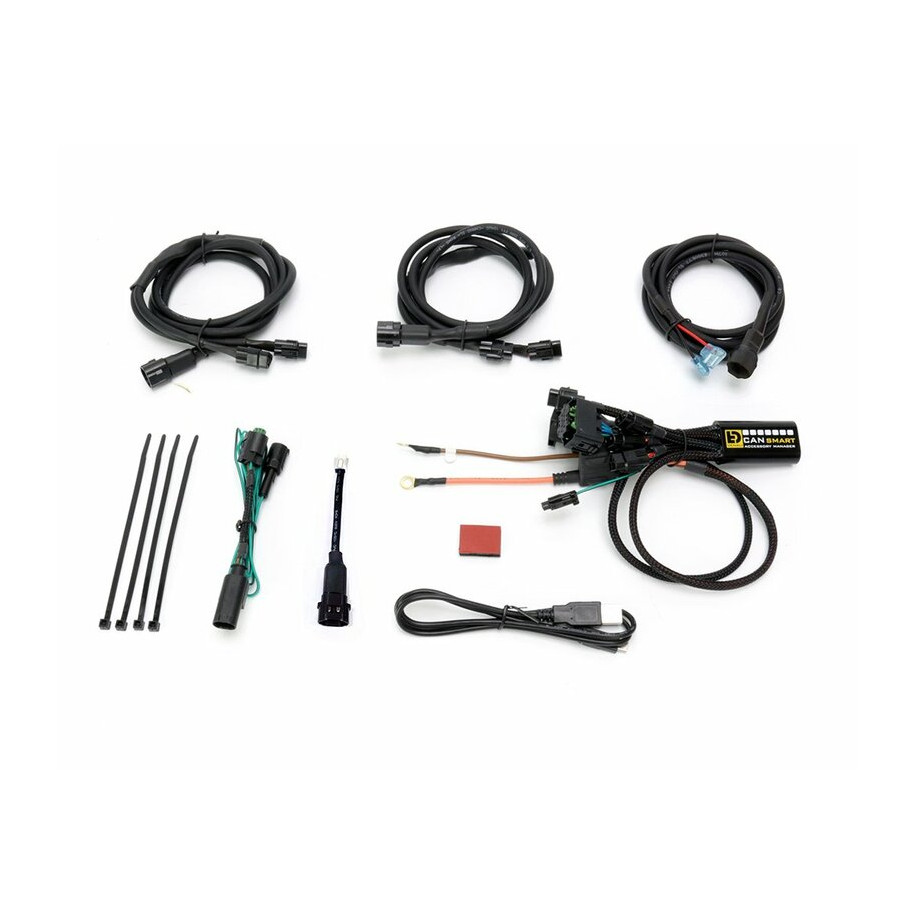 Faisceau DENALI CANsmart Plug-N-Play Gen II BMW K1600