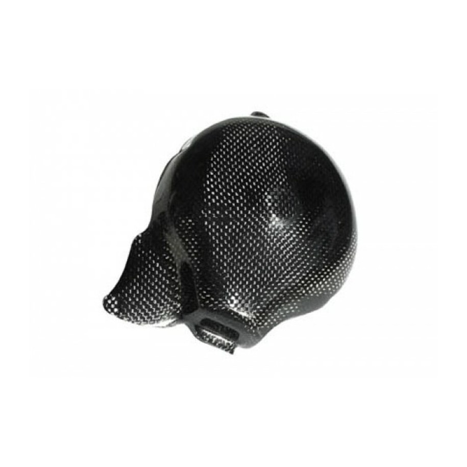 Couvre carter alternateur LIGHTECH carbone brillant