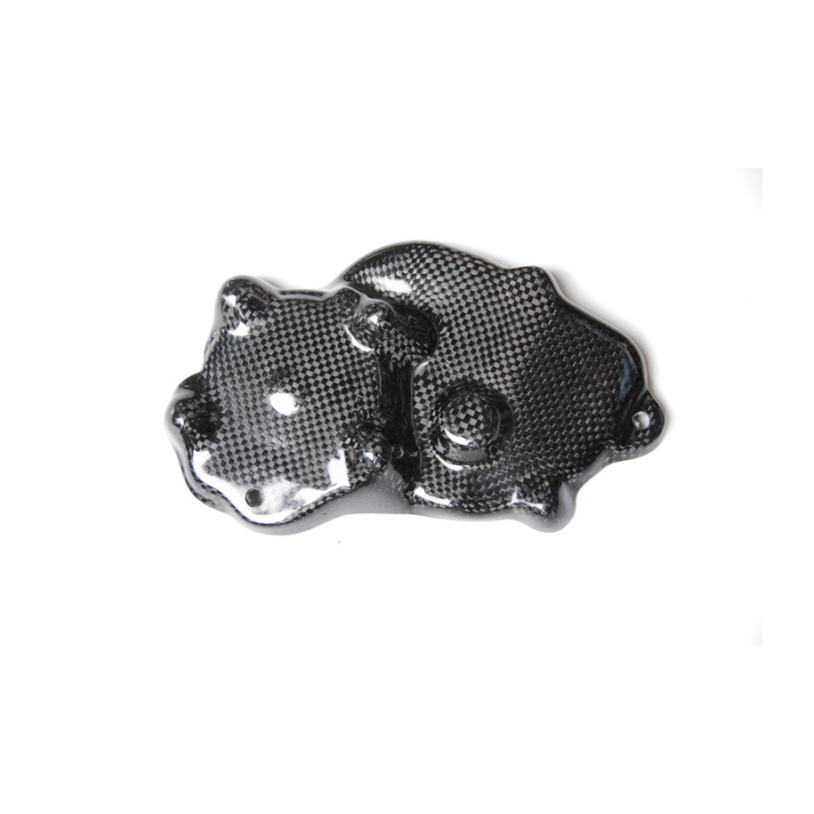 Couvre carter alternateur LIGHTECH carbone brillant