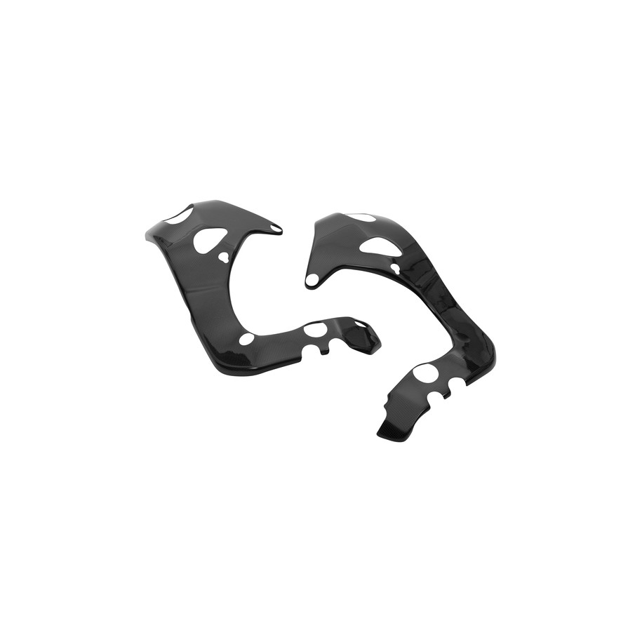 Protection de cadre LIGHTECH carbone brillant