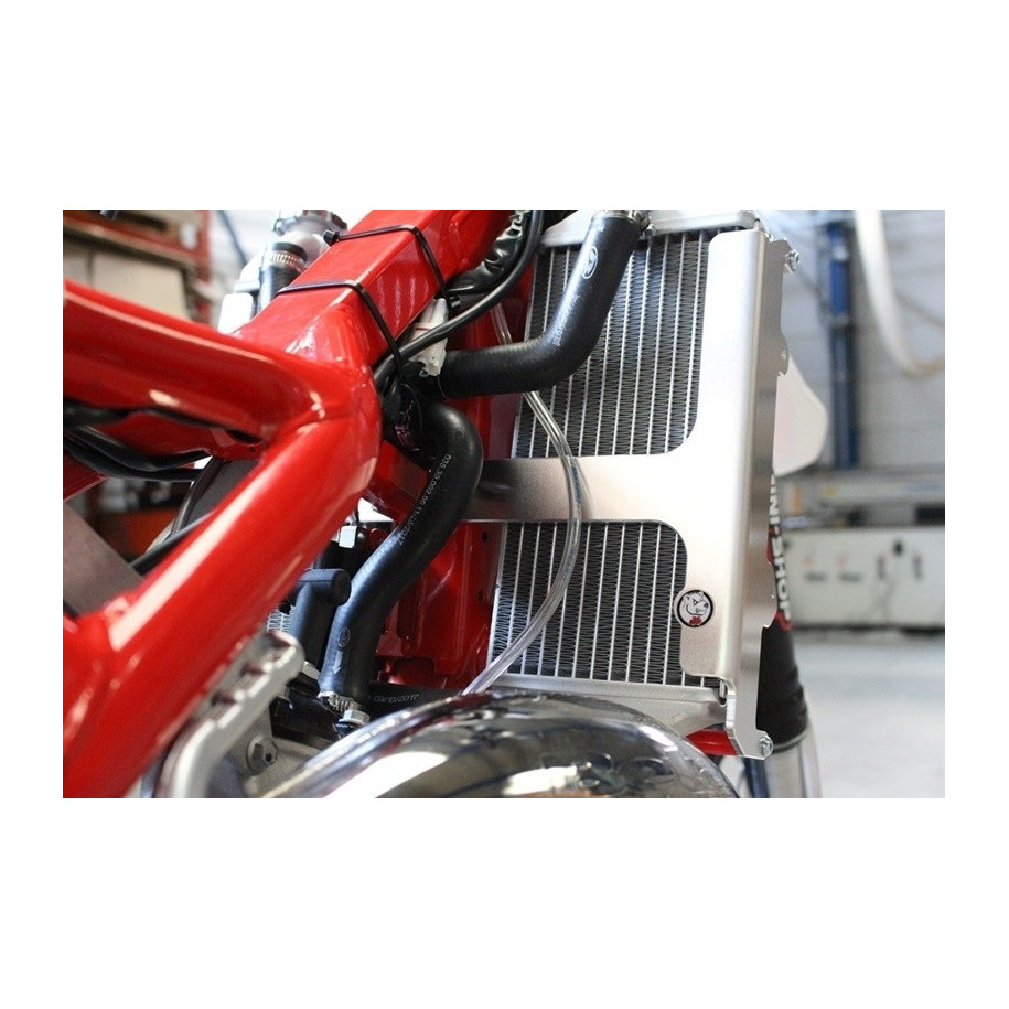 Protection de radiateur AXP aluminium - Beta RR125
