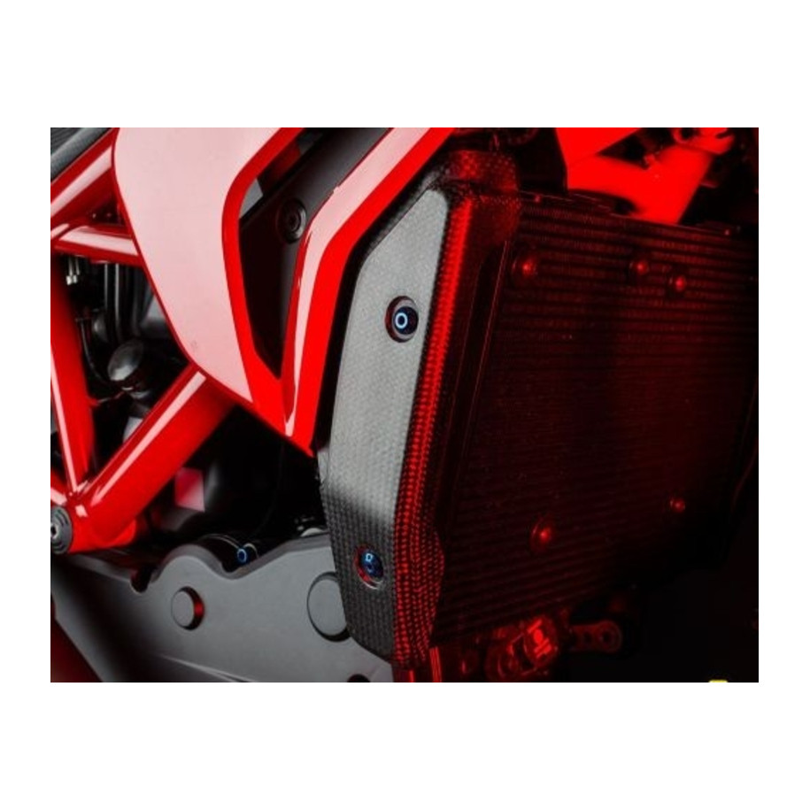 Protection de radiateur LIGHTECH carbone
