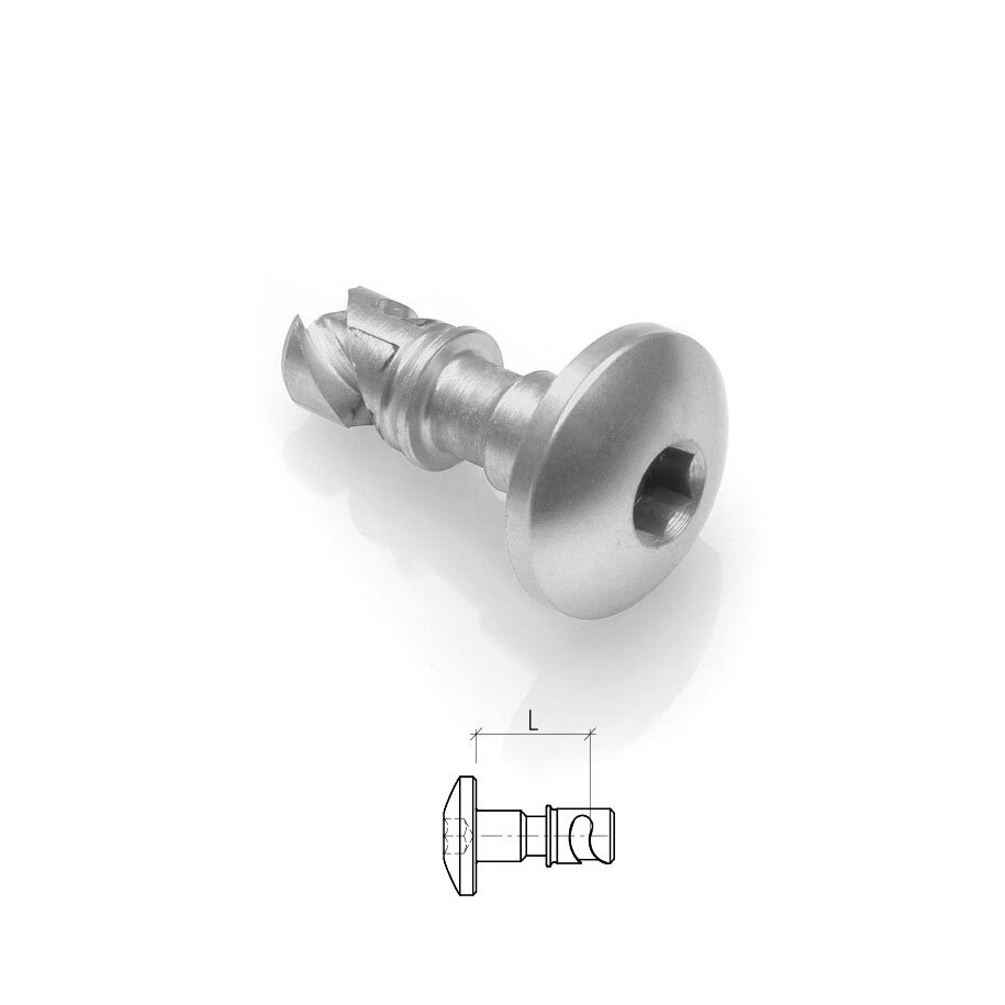 Vis zeus LIGHTECH 14mm acier à l'unité