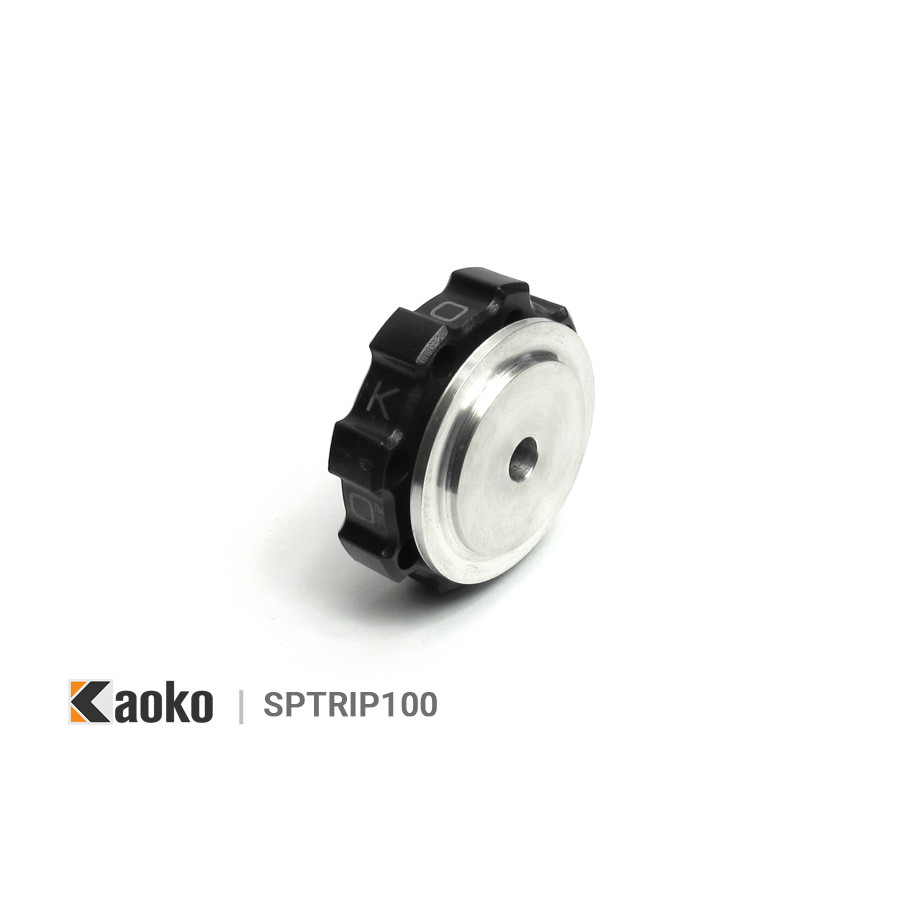 Stabilisateur de vitesse KAOKO Cruise Control