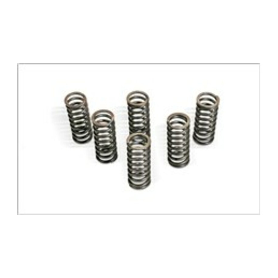 KIT RESSORTS D'EMBRAYAGE POUR RM250 06-08
