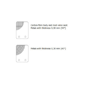 Clapet MALOSSI VL14 pétale carbone 0,30mm 45°