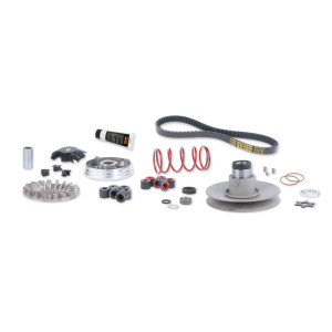 Variateur MALOSSI Over Range - Yamaha-MINARELLI